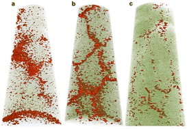 Graphical abstract: Revealing enameloid shark chemistry at the nanoscale
