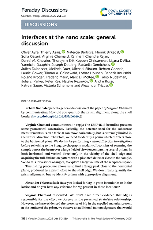 Interfaces at the nano scale: general discussion