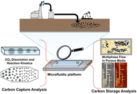 Graphical abstract: A review of microfluidic approaches for carbon capture and storage research