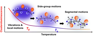 Graphical abstract: Detection of β-transition in polyesters via clusteroluminescence