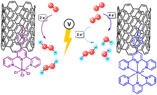 Graphical abstract: Terpyridine-functionalized single-walled carbon nanotubes towards selectivity in the oxygen reduction reaction