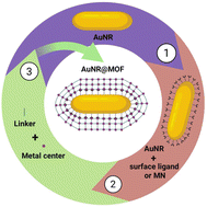 Graphical abstract: Synthetic methodologies of gold nanorod@MOF nanohybrids focused on biological applications