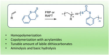 Graphical abstract: Degradable vinyl copolymers featuring backbone dithiocarbonates by radical copolymerization of a cyclic xanthate