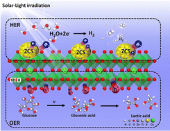 Graphical abstract: Regulating the band gap of ZnxCd1−xS in 3DOM CaTiO3 for high hydrogen evolution and gluconic acid selectivity