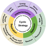 Graphical abstract: The progress of the cyclic strategy in separation and detection