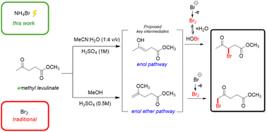 Graphical abstract: Medium-dependent regioselectivity of electrochemical bromination of methyl levulinate