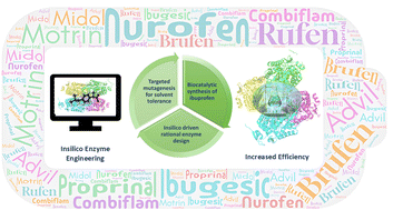 Graphical abstract: In silico enzyme engineering of aldehyde dehydrogenase for eco-friendly ibuprofen synthesis