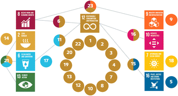 Graphical abstract: Metrics are the key: development of criteria and indicators for measuring sustainability in international chemicals management
