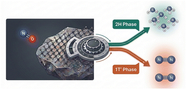 Graphical abstract: Tuning product selectivity in direct electroreduction of NO via phase engineering of MoS2 nanosheets in a water-fed PEM electrolyzer