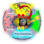 Graphical abstract: Unraveling the chemistry of PVP in engineering CdS nanoflowers for sunlight-driven photocatalysis
