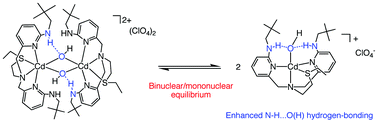 Graphical abstract: A cadmium hydroxide complex of a N3S-donor ligand containing two hydrogen bond donors: synthesis, characterization, and CO2 reactivity