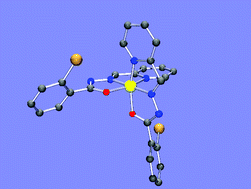 Graphical abstract: Coordination chemistry and biology of chelators for the treatment of iron overload disorders