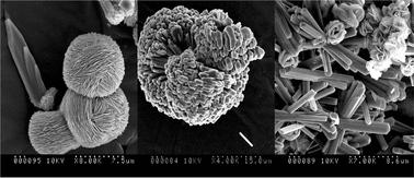 Graphical abstract: Inorganic nanomaterials for batteries