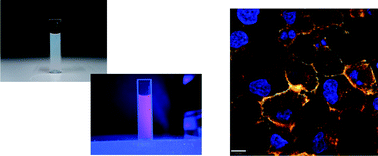 Graphical abstract: NIR-emitting fluorescent gold nanoclusters doped in silica nanoparticles