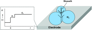 Graphical abstract: Fern-shaped bismuth dendrites electrodeposited at hydrogen evolution potentials