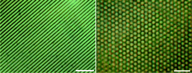 Graphical abstract: Holographic fabrication of azo-dye-functionalized photonic structures