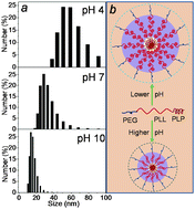 Graphical abstract: Dual-vectors of anti-cancer drugs and genes based on pH-sensitive micelles self-assembled from hybrid polypeptide copolymers