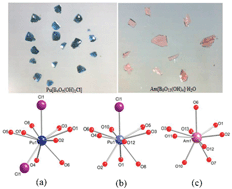 Graphical abstract: Recent progress in actinide borate chemistry