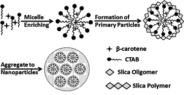 Graphical abstract: β-Carotene doped silica nanoparticles as a novel resonance Raman scattering tag for in vivo cellular imaging