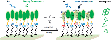 Graphical abstract: Single-layer assembly of pyrene end-capped terthiophene and its sensing performances to nitroaromatic explosives