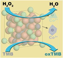 Graphical abstract: Self-assembly into magnetic Co3O4 complex nanostructures as peroxidase