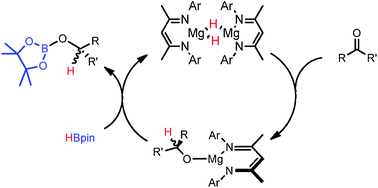 Graphical abstract: Magnesium-catalysed hydroboration of aldehydes and ketones