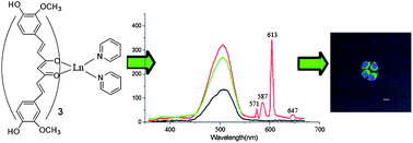 Graphical abstract: Synthesis, optical properties and biological imaging of the rare earth complexes with curcumin and pyridine