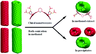 Graphical abstract: Preferential extraction of left- or right-handed single-walled carbon nanotubes by use of chiral diporphyrin nanotweezers