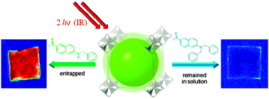 Graphical abstract: Assessing the guest-accessible volume in MOFs using two-photon fluorescence microscopy