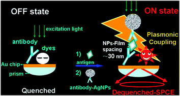 Graphical abstract: Turning on fluorescence by plasmonic assembly with large tunable spacing: a new observation and its biosensing application