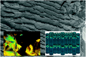 Graphical abstract: Mutually ordered self-assembly of discotic liquid crystal–graphene nanocomposites