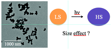 Graphical abstract: Photoswitchable spin crossover nanoparticles