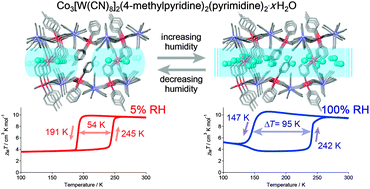 Graphical abstract: Humidity dependency of the thermal phase transition of a cyano bridged Co–W bimetal assembly