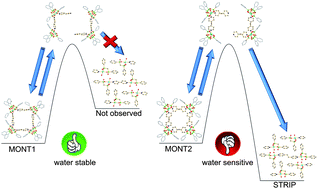 Graphical abstract: Supramolecular interactions impacting on the water stability of tubular metal–organic frameworks