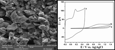 Graphical abstract: Multiwall carbon nanotube ensembled biopolymer electrode for selective determination of isoniazid in vitro