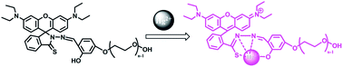 Graphical abstract: A PEGylated-rhodamine based sensor for “turn-on” fluorimetric and colorimetric detection of Hg2+ ions in aqueous media