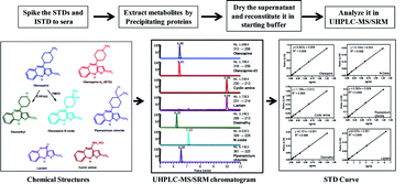 Graphical abstract: Sensitive UHPLC-MS/SRM method for quantifying olanzapine metabolites and degradation products from sera