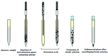 Graphical abstract: Development and validation of a rapid and sensitive gas chromatographic method for the analysis of some phenolic compounds in vegetable oils