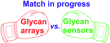 Graphical abstract: Are glycan biosensors an alternative to glycan microarrays?