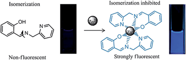 Graphical abstract: Highly efficient turn-on fluorescence detection of zinc(ii) based on multi-ligand metal chelation