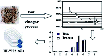 Graphical abstract: Simultaneous determination of eight active components in chloroform extracts from raw and vinegar-processed Genkwa flos using HPLC-MS and identification of the hepatotoxic ingredients with an HL-7702 cell
