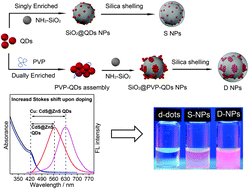 Graphical abstract: Dually enriched Cu:CdS@ZnS QDs with both polyvinylpyrrolidone twisting and SiO2 loading for improved cell imaging