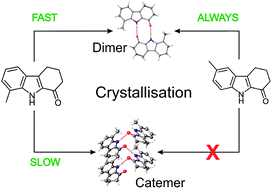 Graphical abstract: Conserved hydrogen bonding in tetrahydrocarbazolone derivatives: influence of solution-state assembly on crystal form nucleation