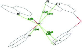 Graphical abstract: Preparation of RHgCl via transmetalation of (8-quinolyl)SnMe3 and redistribution to R2Hg (R = 8-quinolyl): a highly distorted diorganomercury(ii) with 84 degree C–Hg–C angle
