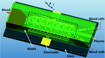 Graphical abstract: Isolating plasma from blood using a dielectrophoresis-active hydrophoretic device