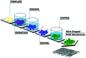 Graphical abstract: Highly homogeneous core–sheath polyaniline nanofibers obtained by polymerisation on a wire-shaped template