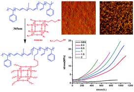 Graphical abstract: A simple approach to preparation of polyhedral oligomeric silsesquioxane crosslinked poly(styrene-b-butadiene-b-styrene) elastomers with a unique micro-morphology via UV-induced thiol–ene reaction