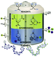 Graphical abstract: Reactive imidazole intermediates: simplified synthetic approach to functional aliphatic cyclic carbonates
