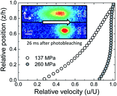 Graphical abstract: The effect of boundary slip on elastohydrodynamic lubrication