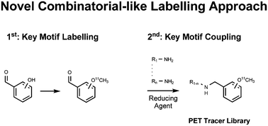 Graphical abstract: Accelerating preclinical PET-screening: reductive amination with [11C]methoxybenzaldehydes
